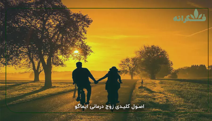 اصول کلیدی زوج درمانی ایماگو